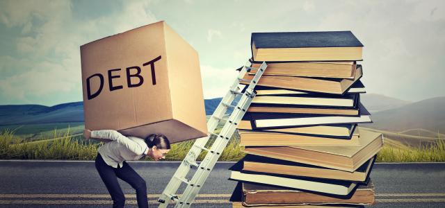 Is Debt Dumb?